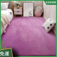 地毯 地墊 幾何簡約地毯 客廳地毯 沙發地毯 茶幾毯 臥室 家用地墊 床邊毯 毛地毯 北歐風地墊 墊子
