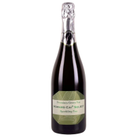 Howard Cai Select Sparkling Tea Green Tea 蔡昊精選 安徽黃山有機綠茶氣泡茶 (750ml)