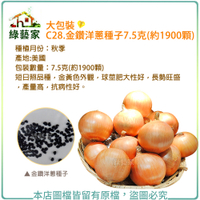 【綠藝家】大包裝C28.金鑽洋蔥種子7.5克(約1900顆)