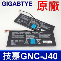 GIGABYTE 技嘉 GNC-J40 電池 P34 P34G P34W V2 P34F V2 U24F U2442 428PLJA11G9C