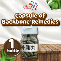 80pcs capsule of Backbone Remedies 80 Bǔ yao wán