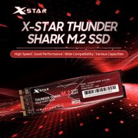 X-Star M.2 Solid State Drive Internal SSD Thunder Shark M.2 SSD M.2 2280/3D NAND Technology/High Transmitting Speed 512GB 256G