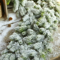 圣誕節仿真植物松樹枝條裝飾擺件品場景布置教室走廊手工制作材料