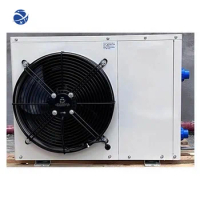 Chiller Water Cooled Sports Recovery Cold Plunge Chiller Ice Bath Chiller and Heater