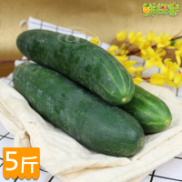 【鮮採家】台灣特級鮮脆胡瓜 大黃瓜(5台斤)