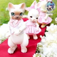 Cocoriang 小貓 Groom RuppeCreamwhite12分包郵暫時關倉指環果汁