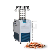 Lanphan Vacuum Freeze Dryer for Puffed up Candy Lyophilizer Food