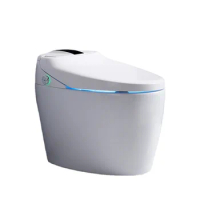 New Design Electric Ceramic Automatic Smart Bidet Toilet Intelligent Self-clean Smart Toilet