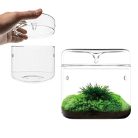 【沐森 Green Life】12X12玻璃露集杯 苔蘚生態瓶(不含植物)