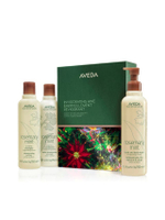 ชุดเช็ตของขวัญ Invigorating Awe Rosemary Mint Hair & Body Essentials