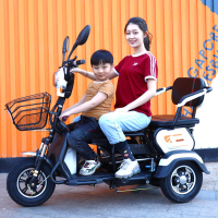 Factory subsidy delivery within 48 hrs/comply with sg lta rule /pma/black gold battery 60v22ah 800w 