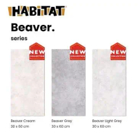 Keramik Cutting Dinding 30x60 Beaver Series Glossy | Kilap | Licin Product Habitat