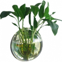花盆 花盆墻上裝飾品園藝花瓶墻上鮮花壁掛花瓶容器水培透明花瓶