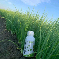 pupuk daun nutrisi power ijo zpt 500ml + multivitamin tanaman