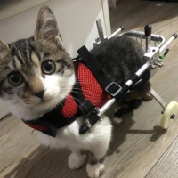 Cat specific wheelchair pet hind limb disability scooter spinal fracture rehabilitation training vehicle super lightweight