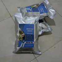 padi mapan 05 asli 2025 1 kg benih