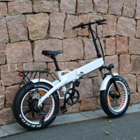 2020 New Aluminum 20inch Folding Electric Motor Bike Motorcycle 500w 48v Fat Tire E Bike With Hidden Battery