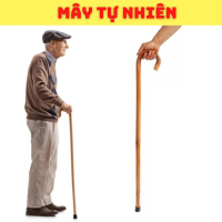Gậy Batoong Mây, Gậy Chống Cho Người Già Bằng Mây Tự Nhiên