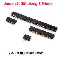 COMBO 5 Thanh Jump cái đôi thẳng 2.54mm 2x5P, 2x10P, 2x20P, 2x40P