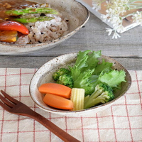 日本製 美濃燒 陶瓷 波浪造型 餐盤 小菜盤 沙拉盤 炸豆腐 炸雞 前菜 日式料理 西式料理 餐盤 廚房用品 廚房餐具