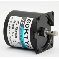 60Ktyz 14W Ac Permanente Magneet Synchrone Motor 110V/220V Gear Motor Miniatuur Lage Snelheid Grote Koppel Kleine Motor