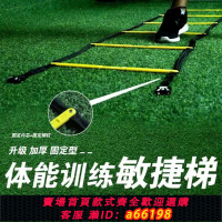 【台灣公司 可開發票】固定式敏捷梯繩梯籃球運動訓練敏捷梯體能移動跳格梯體能訓練器材