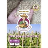 Bibit Premium Milet Putih|Biji Benih Milet Putih|Biji Bibit Tanaman Milet