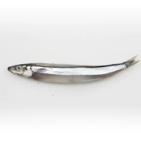 【海鮮主義】鮮撈澎湖丁香魚14盒(400g±10%/盒)