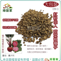 【綠藝家】大包裝C09-1.紅粉佳人甜菜根種子55克(約4000顆) 葉柄紅色，根系發達，根球圓形。 根莖類