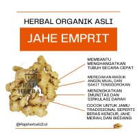 Rajaherbal12 Jahe Emprit Paris Segar - Rasa Pedas Kuat & Harum, Bersih Tanpa Tanah, Bumbu Dapur Herb