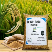 benih padi bibit padi unggul Ciherang sugih berkualitas original super premium