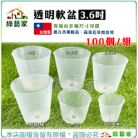 【綠藝家】透明軟盆 3.6吋 100個/組 ─蔬菜育苗專用白色透明軟盆 育苗軟盆 透明盆 育苗盆