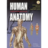 Chulabook|c112|หนังสือ|กายวิภาคศาสตร์ของมนุษย์ (HUMAN ANATOMY) 9789749993705