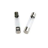 Glass Fuse 6*30mm 7A/8A/10A/15A/20A/25A Protection Tube Fuse 100 Pieces/Box