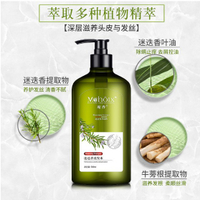 魔香牛蒡根迷迭香洗髪精 清爽控油 除螨止癢 洗髮水 沐浴露 護髮素 去蟎蟲 洗頭膏 洗髮精500ml 洗髮露