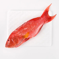 【華得水產】燕尾紅條魚4條組(400-480g/條)