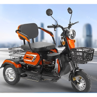 for Adults 3 Wheels e scooter e bike motor skuter basikal electric bicycle electric bicycle