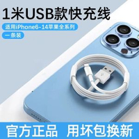 套天下適用蘋果13充電線iphone11充電器線pd快充-【官方正品】USB款快充【1米單條裝】用壞包換新 均碼