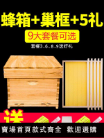【新品】蜂箱全套蜜蜂箱中蜂養蜂箱意蜂杉木巢框蜂具專用養蜂工具煮蠟峰箱