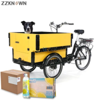 500 W Cargo Tricycle Adult Electric Bike with Two Seater Mini Cars Bicycle for Kids Utility Family Storage Shopping Trolley Cart