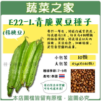 【蔬菜之家】E22-1.青脆翼豆種子(楊桃豆) (共2種包裝可選)