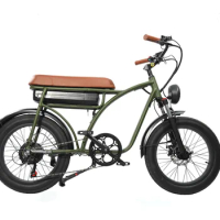 China Supply Retro Ebike 48V 500W Electric Bike 20" Fat Tire Cargo Bike Electric City Bike 20in Fat Tyre Electric Bicycle Old