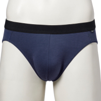 SOLIS 墨烯哥系列M-XXL素面貼身三角男褲(風華藍)