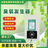 Ozone Generator for Fruits and Vegetables, Meat Disinfection and Sterilization, Water Purification, 