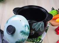 韓式鋰瓷耐高溫熱帶雨林砂鍋燉鍋湯煲陶天然氣明火瓷
