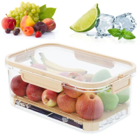 Refrigerator Fresh-Keeping Box Recyclable Space Saver Food Container for Keeping Produce Fresh Longer
