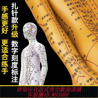 {臺灣公司貨 可打統編}政河人體經絡穴位模型人針灸十二經絡圖小皮人可扎針數字刻度定位