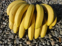 【奧丁丁】集集一等山蕉禮盒 5公斤裝