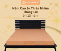 Nệm Cao Su Thiên Nhiên Thắng Lợi - 100% Cao Su Thiên Nhiên, Áo Nệm Gấm Thun Cao Cấp - ưu đãi khủng,r