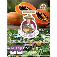 Bibit Premium Pepaya Ibanai Hawai | Biji Benih Pepaya Ibanai Hawai